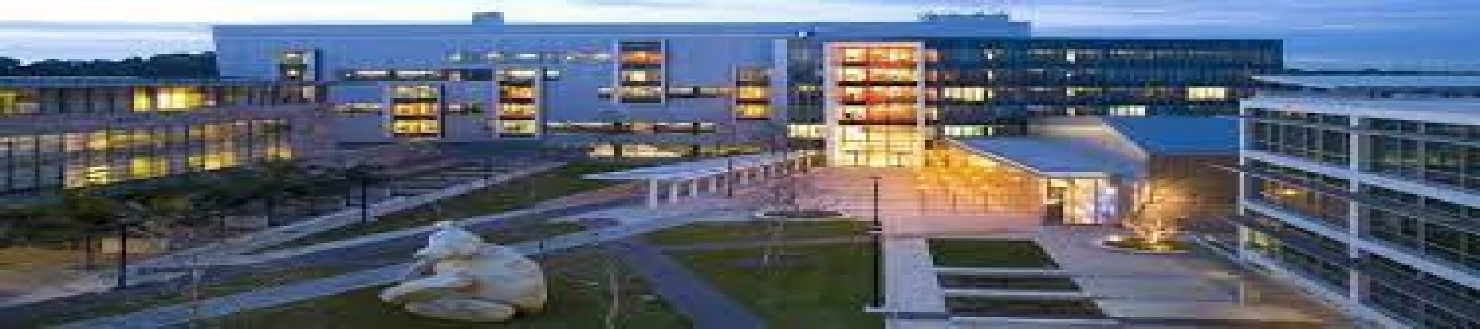 University of California, San Diego in USA University of California, San Diego in USA